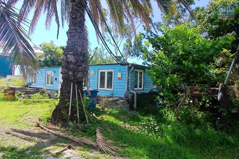 A LOUER LOCAL professionnel ou entrep&ocirc;t  de 130 m2 avec cour dans la zone de CAMBAIE &agrave; SAINT-PAUL