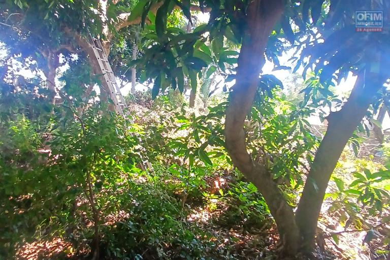 A VENDRE TERRAIN CONSTRUCTIBLE DE 445M2 A SAINT-GILLES LES HAUTS