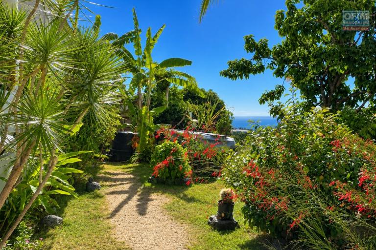 &Agrave; VENDRE &Agrave; PLATEAU CAILLOU &ndash; MAISON FAMILIALE F4 AVEC STUDIO IND&Eacute;PENDANT, VUE MER ET MONTAGNE - Jardin