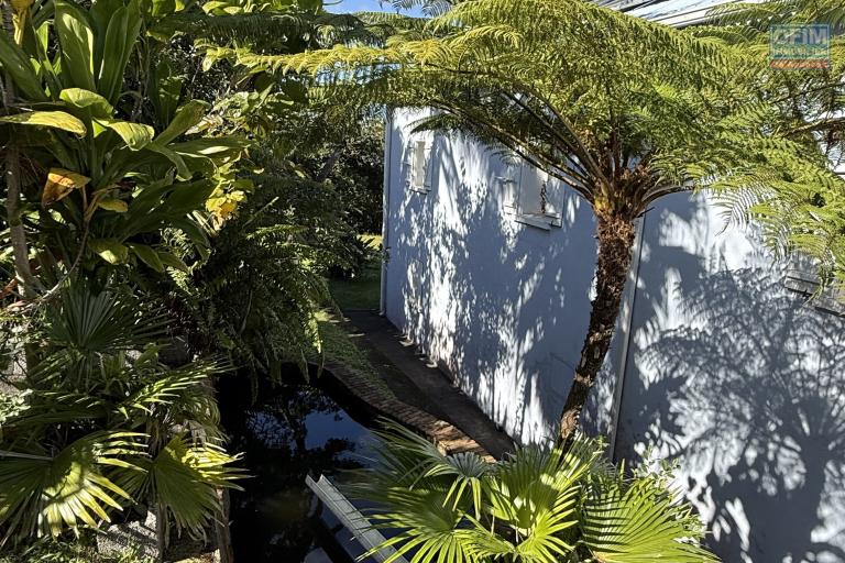 Grande maison/bâtiment de 400 m² situé juste au dessus de la maison cadeau de type F15+ en R+1+combles + un bungalow de 20 m², le tout implanté sur 2830 m² de terrain.
