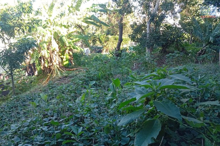 A VENDRE TERRAIN DE 374 M2 A ST GILLES LES HAUTS