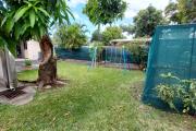 A vendre une f4 sur un terrain de 555m2 a Sainte Clotilde.