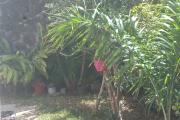 A VENDRE VILLA F4 SAINT-LEU
