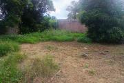 A VENDRE TERRAIN CONSTRUCTIBLE DE 500 M2 A LA SALINE LES HAUTS