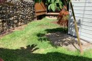 A LOUER villa F4 à SAINT PIERRE