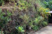 A louer maison meublée dans un écrin de verdure