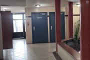 A louer bel appartement F2 sur la r&eacute;sidence COQUELICOTS 1 &agrave; Sainte Clotilde.
