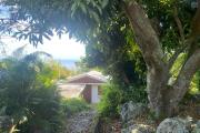 Terrain de 1012 m2, dont 910 m2 constructibles-Vue mer - Bois Rouge Saint-Paul.