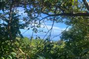 A vendre - Terrain SAINT-PAUL de 1012 m2,dont 910 m2 constructible -Vue sur mer - Bois Rouge