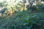 A VENDRE TERRAIN DE 374 M2 A ST GILLES LES HAUTS