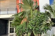 A louer ce bel appartement de type F2 sur la r&eacute;sidence INAIS &agrave; Sainte Clotilde.