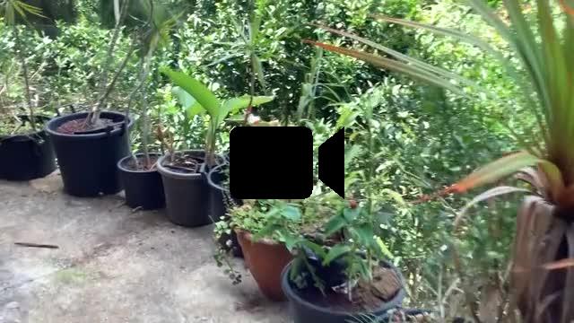 A louer maison meublée dans un écrin de verdure